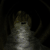 :icondusland: