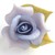 :icondusty-tyler: