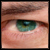 :icondustydoes: