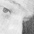 :icondustywbc:
