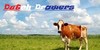 :icondutch-drawers: