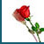 :icondutch12: