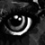 :icondutchdesigngirl: