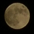 :icondutdutdutdutta: