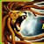 :icondvcampbell: