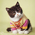 :icondvspirit: