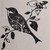:icondward0515: