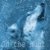 :icondwarfgouramis:
