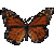 :icondwaynegray7: