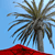 :icondwinston: