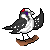 :icondwnybird: