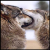 :icondwoffles: