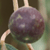 :icondxb-jazz: