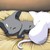 :icondxxxxxj: