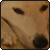 :icondyariphotography: