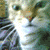 :icondyce-bastion: