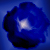 :icondyedbluerose: