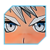 :icondyfsoft: