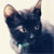 :icondying-princess: