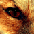 :icondying-souls: