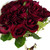:icondyingcrimsonroses7: