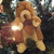 :icondyingsquirrel:
