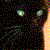 :icondykd:
