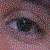 :icondylandarko:
