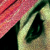 :icondylandreams: