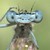 :icondyna890:
