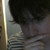 :icondynam1tebo1: