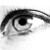 :icondynamicxpie: