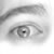 :icondynamix2k5: