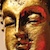 :icondynopt: