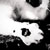 :icondyplamka: