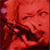 :icondysangelist: