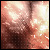 :icondyserq: