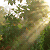 dzogchen :icondzogchen: