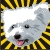 :icone1k1ch1: