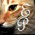:icone--photographs: