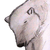 :icone-b-o: