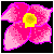 :icone-chii: