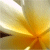 :icone-claire: