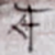 :icone-feistus: