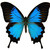 :icone-lo-quence: