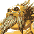 :icone-nuts: