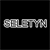 :icone-seletyn-c: