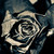 :iconeagle-nbula: