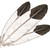 :iconeaglefeathers753:
