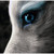 :iconeagleone08: